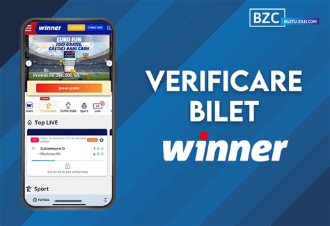 winner verificare bilet